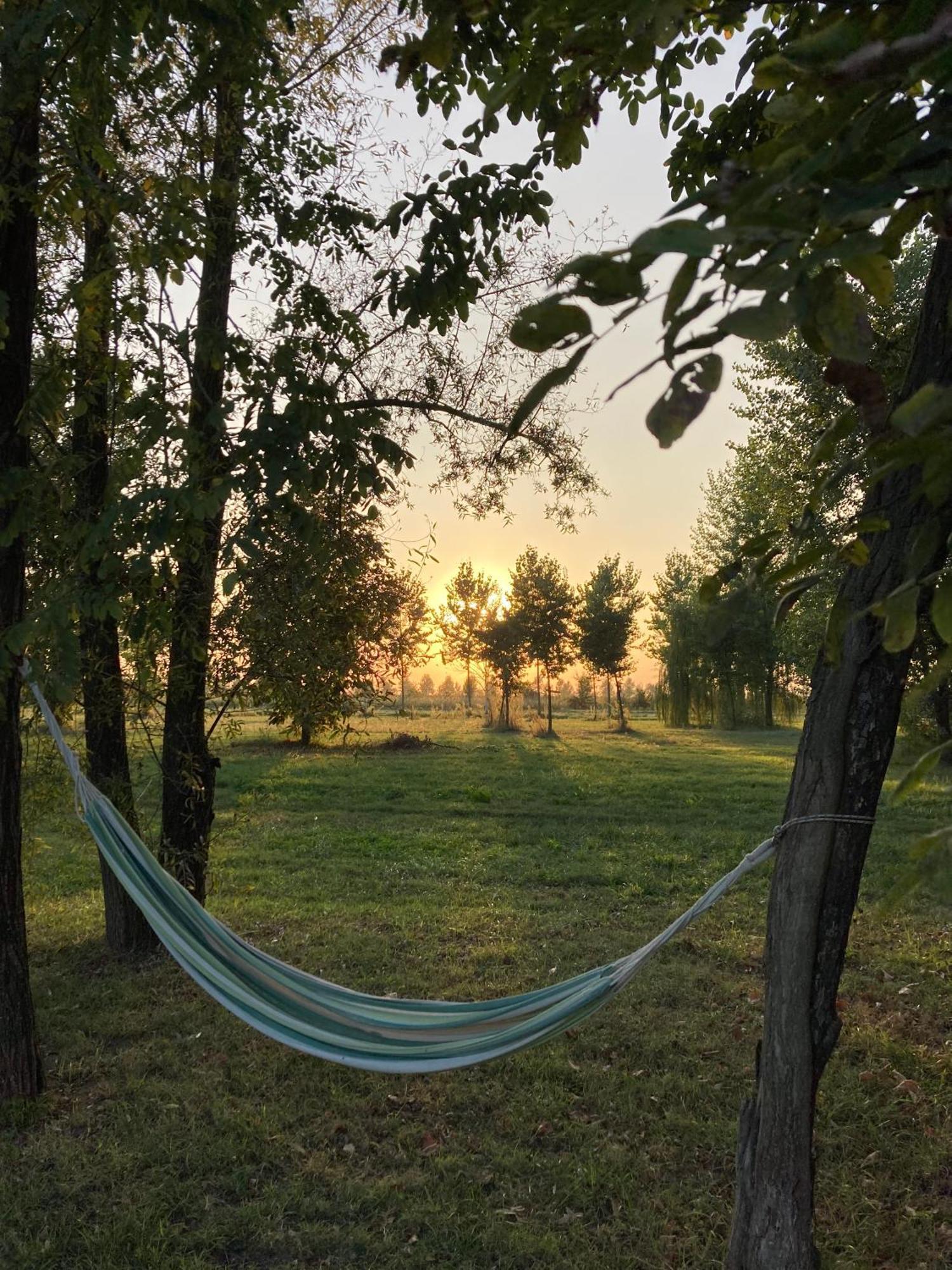 San Martino di Venezze Agriturismo Corte Carezzabella المظهر الخارجي الصورة