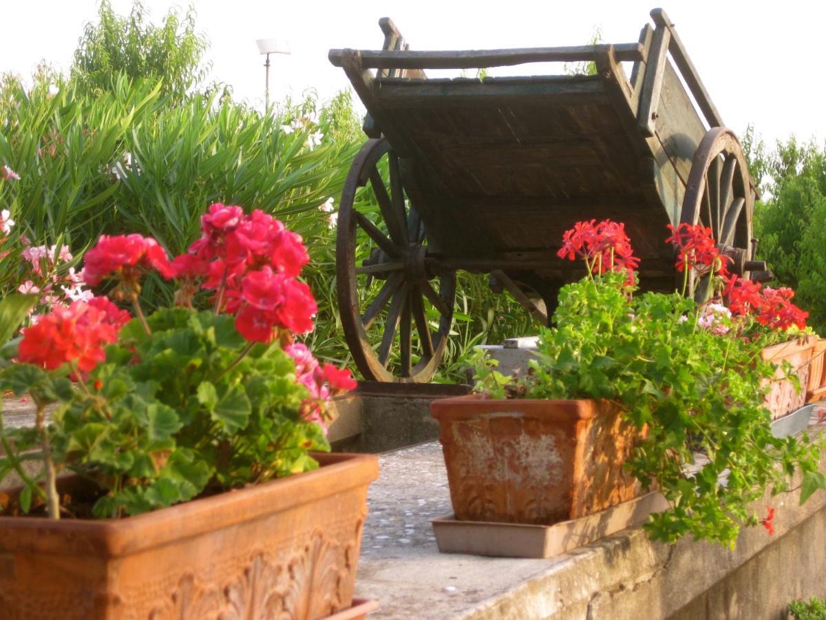 San Martino di Venezze Agriturismo Corte Carezzabella المظهر الخارجي الصورة