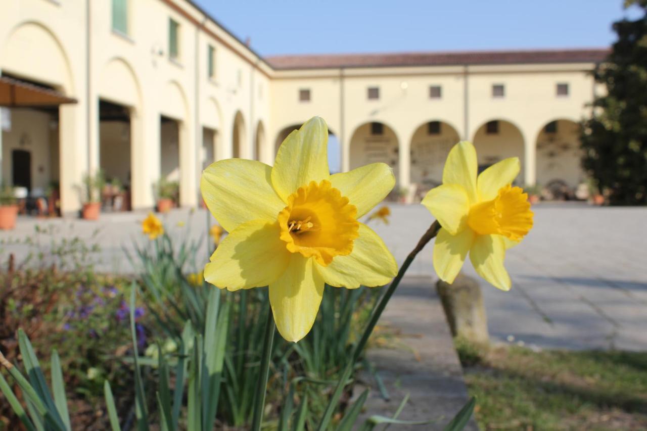 San Martino di Venezze Agriturismo Corte Carezzabella المظهر الخارجي الصورة