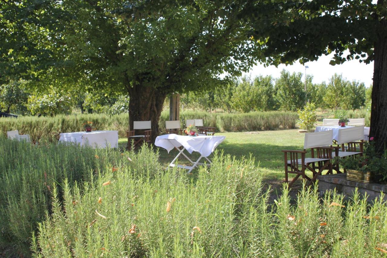 San Martino di Venezze Agriturismo Corte Carezzabella المظهر الخارجي الصورة