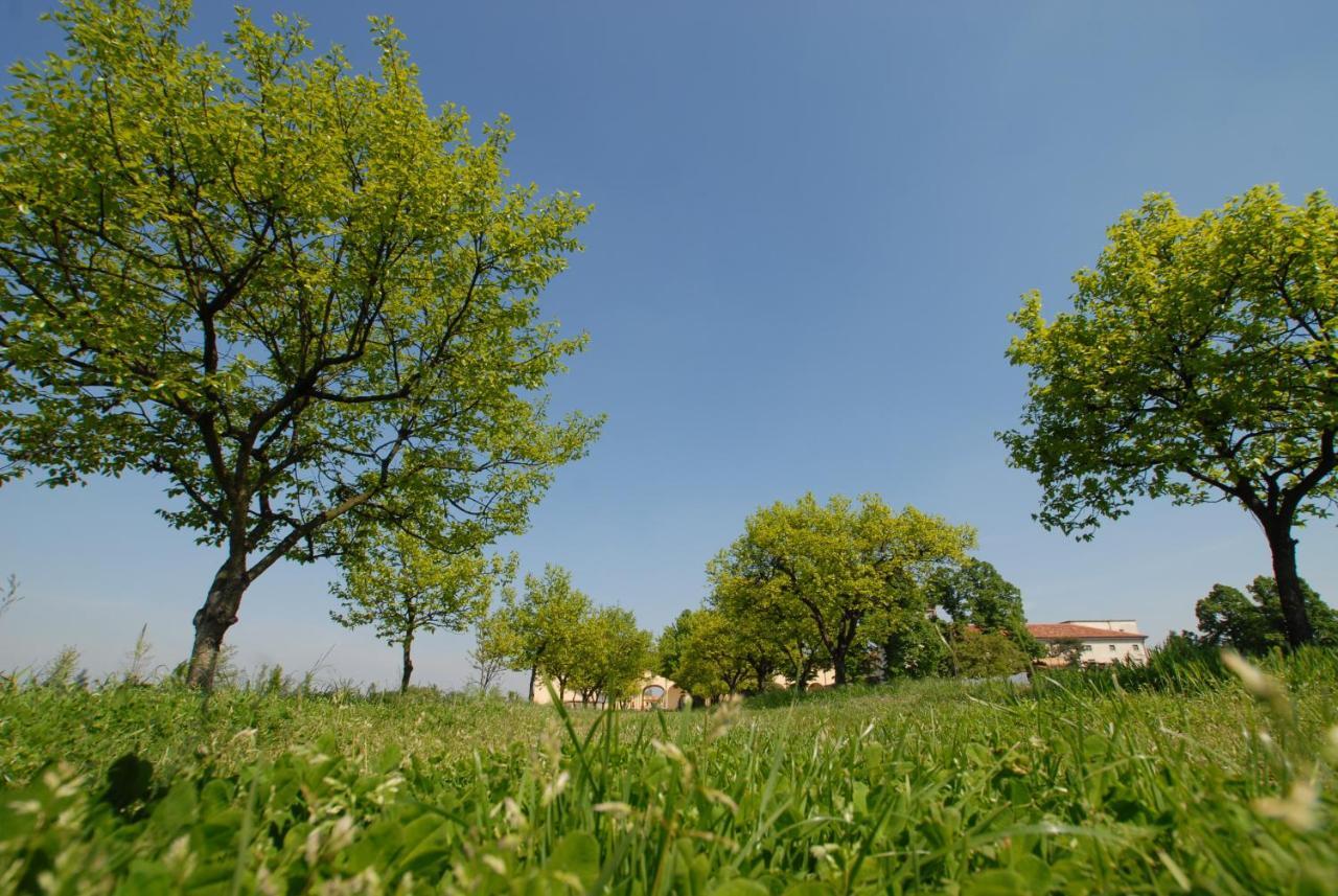 San Martino di Venezze Agriturismo Corte Carezzabella المظهر الخارجي الصورة